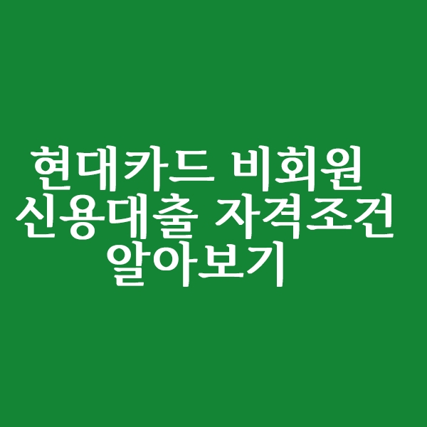  현대카드 비회원 신용대출 자격 조건 알아볼까요?