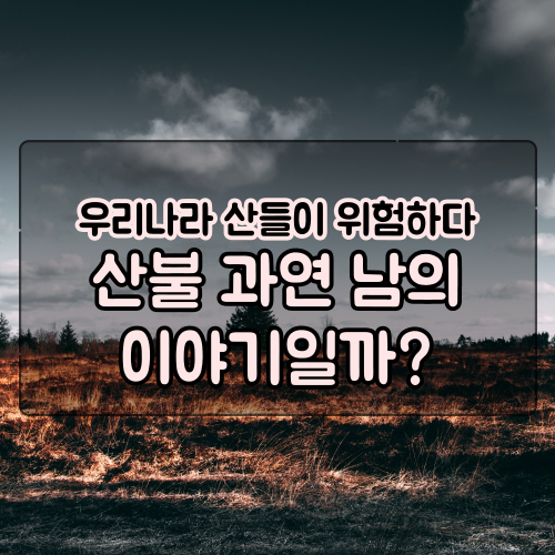  강릉 강원도 산불 발생에 대한 대책 마련이 필요한 시점