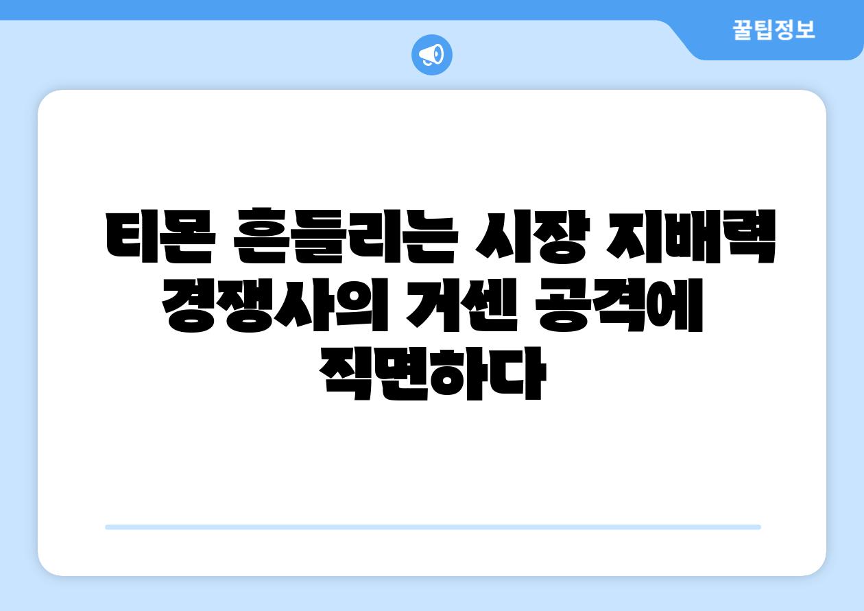  티몬 흔들리는 시장 지배력 경쟁사의 거센 공격에 직면하다