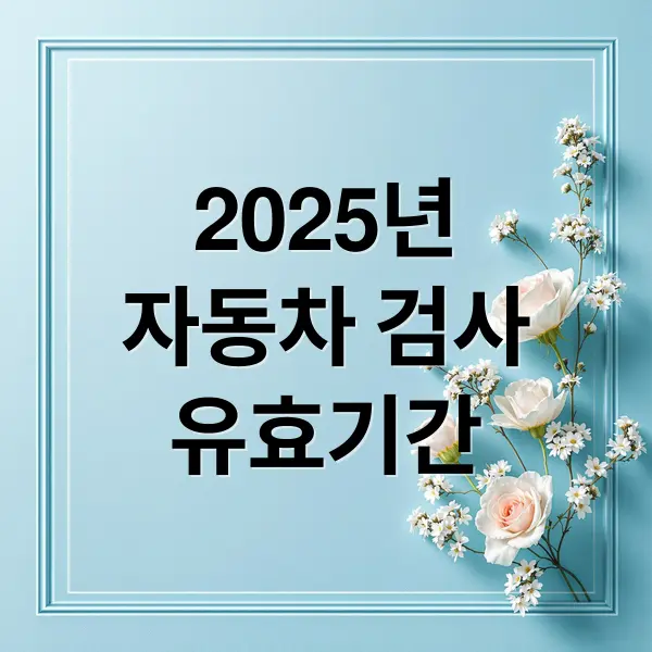 2025 자동차 검사 총정리
