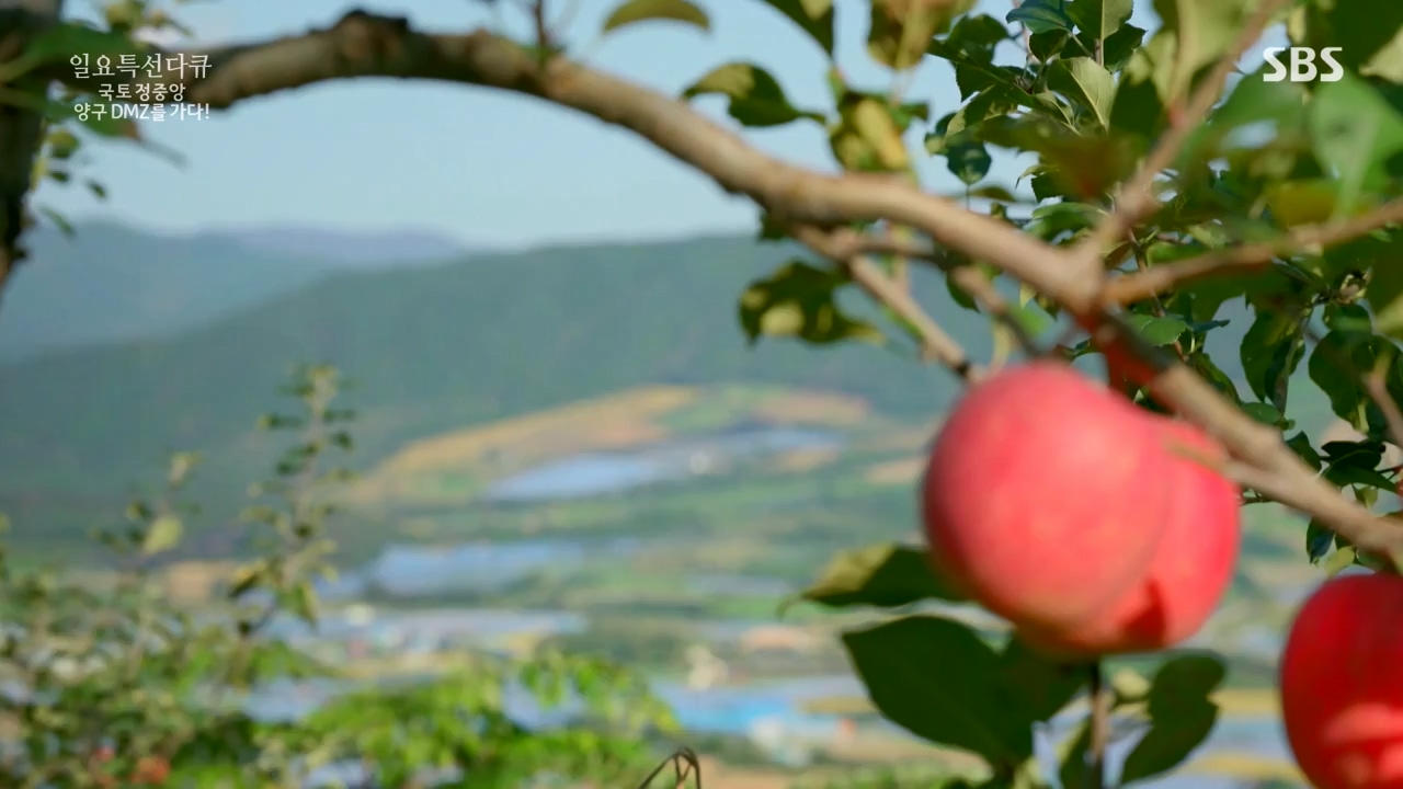 일요특선 다큐멘터리.E344.231204p-NEXT.mp4_20231206_194840.406.jpg