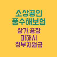 소상공인 풍수해보험