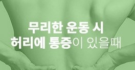 스파이나 써보 다이얼 허리보호대