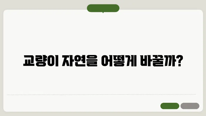 교량 관련 법규와 정책 사진
