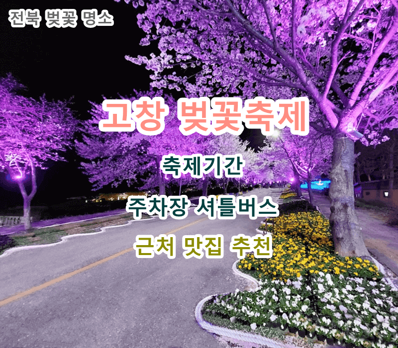 전북-벚꽃-명소-고창-벚꽃축제-야경