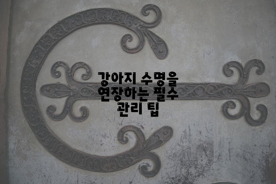 강아지 수명을 연장하는 필수 관리 팁