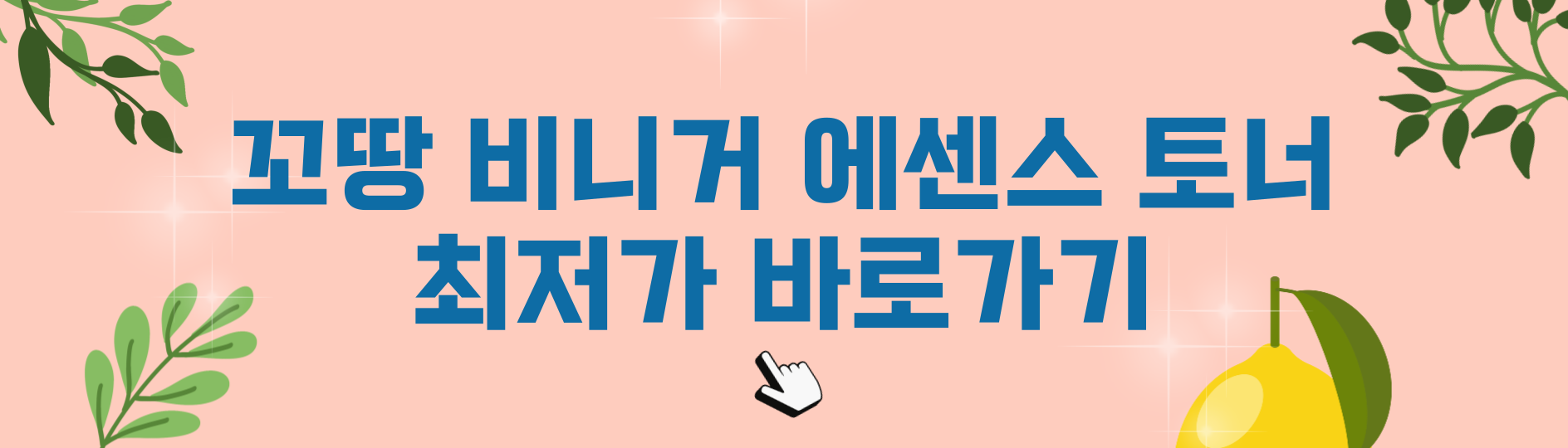 꼬땅 비니거 에센스 토너 최저가 바로가기