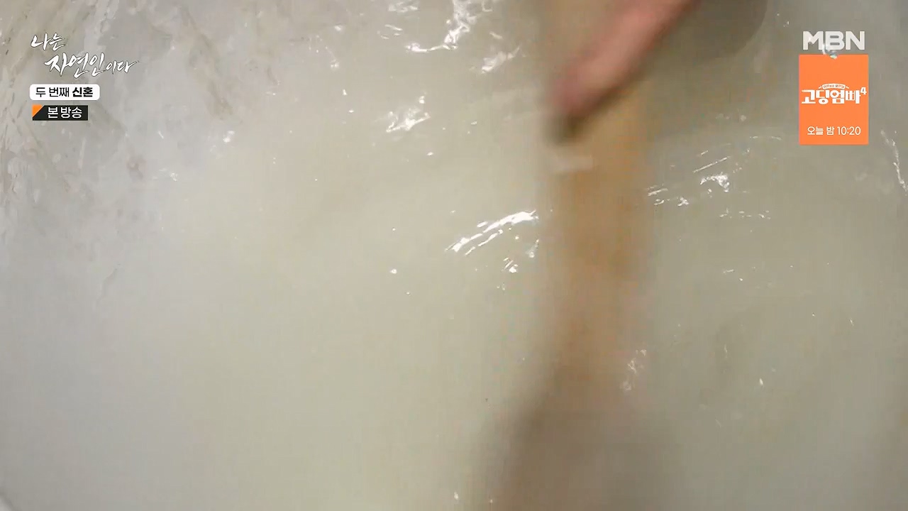 나는 자연인이다.E572.230921p-NEXT.mp4_20230921_202638.829.jpg