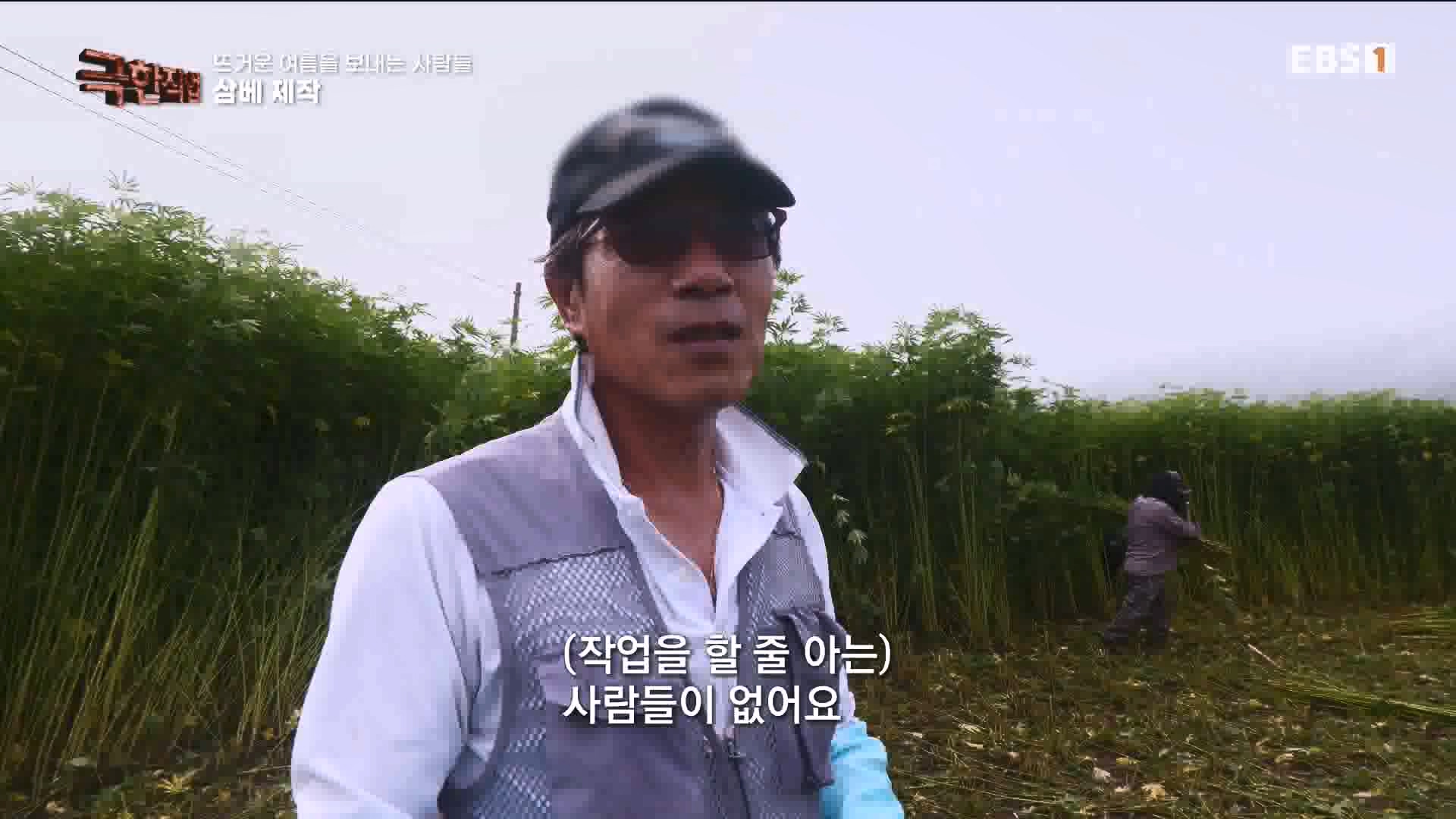 [극한 직업] 삼베 제작과 농어잡이 230812p.mp4_20230814_204001.844.jpg