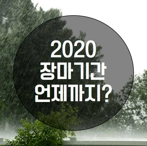 2020년장마기간