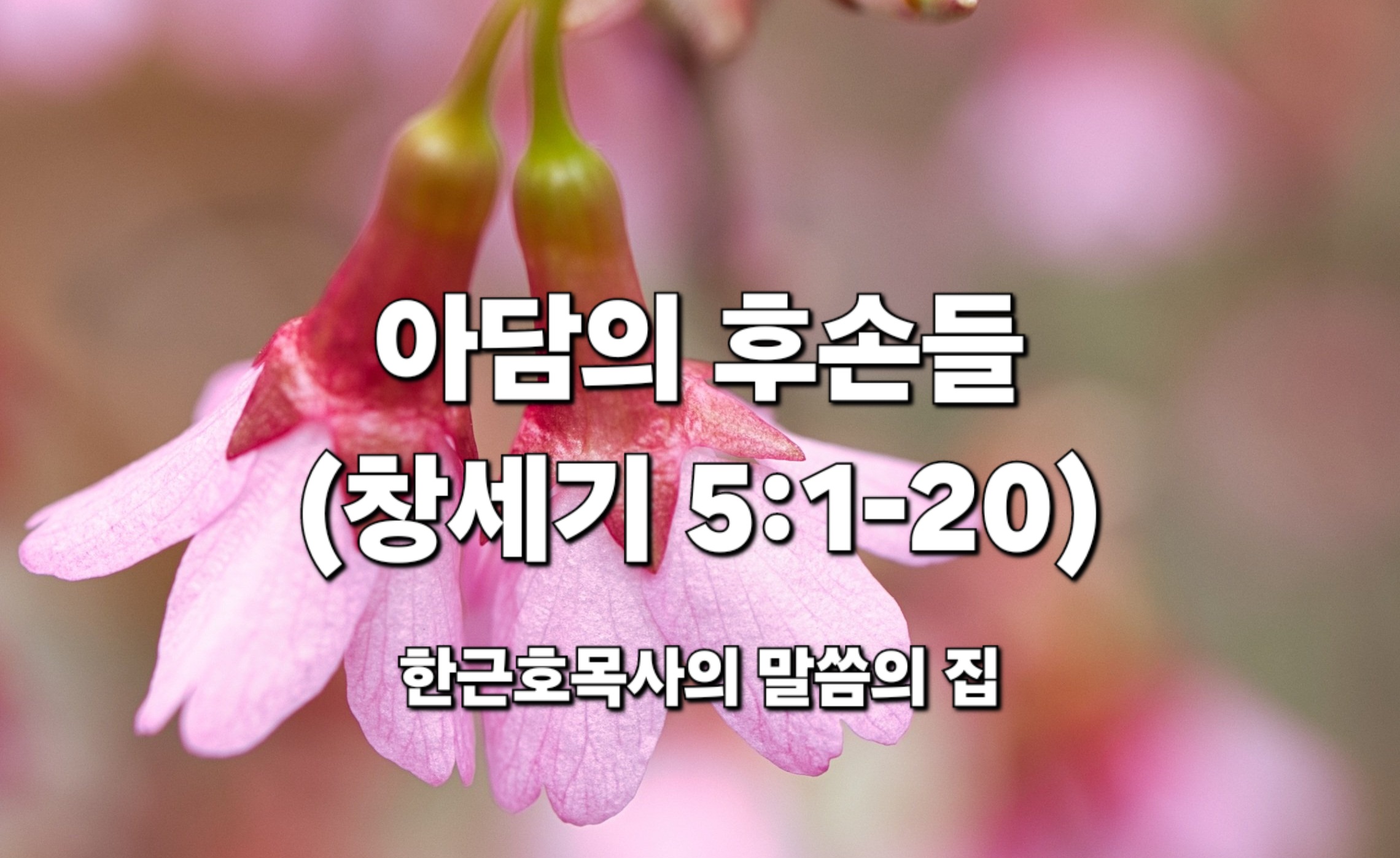  아담의 후손들 (창세기 5:1-20)