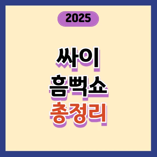 싸이 흠뻑쇼 2025 일정·예매 방법·지역별 공연장 완벽정리(+NFT 선예매 팁)