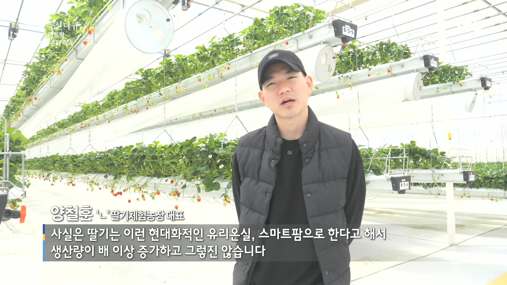 일요 특선 다큐멘터리.E348.240804p.H264-F1RST.mp4_20240805_195636.497.jpg