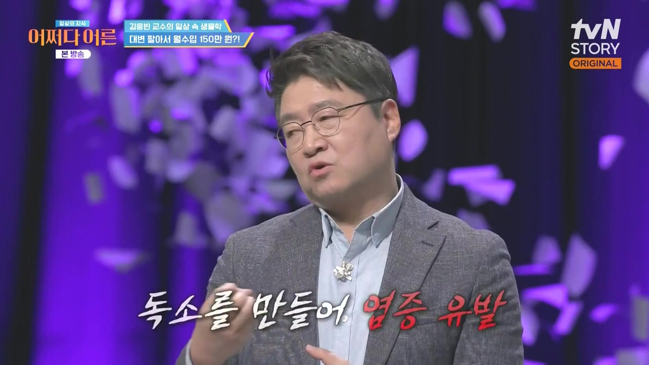 어쩌다 어른.E51.240410p-NEXT.mp4_20240410_170646.998.jpg