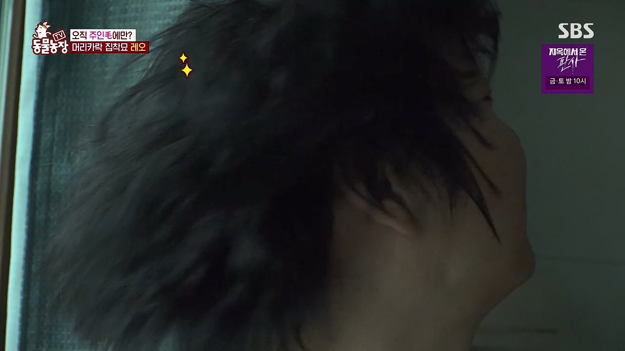 TV 동물농장 1189화 다시보기.ts_20240922_161942.729.jpg