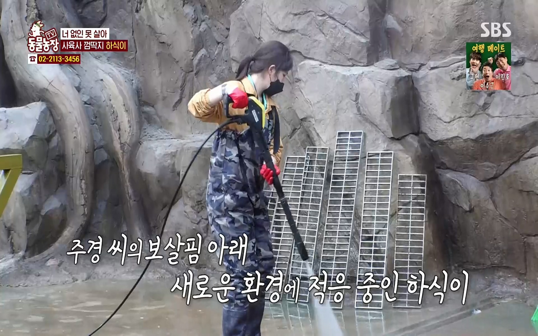 TV 동물농장.E1067.220501p.H264-F1RST.mp4_20220501_181738.595.jpg