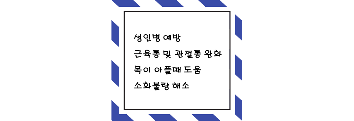  모과 효능과 주의할 점