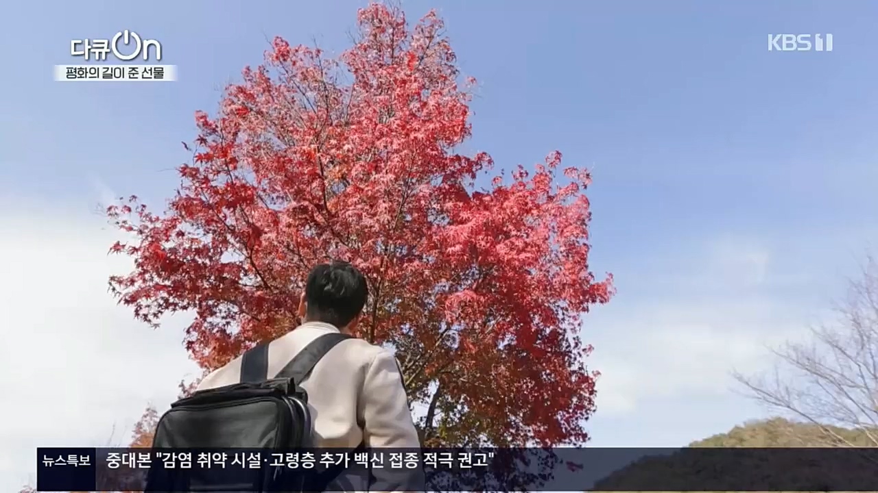 다큐 On.E172.221119p.H264

-F1RST.mp4_20221122_201826.715.jpg