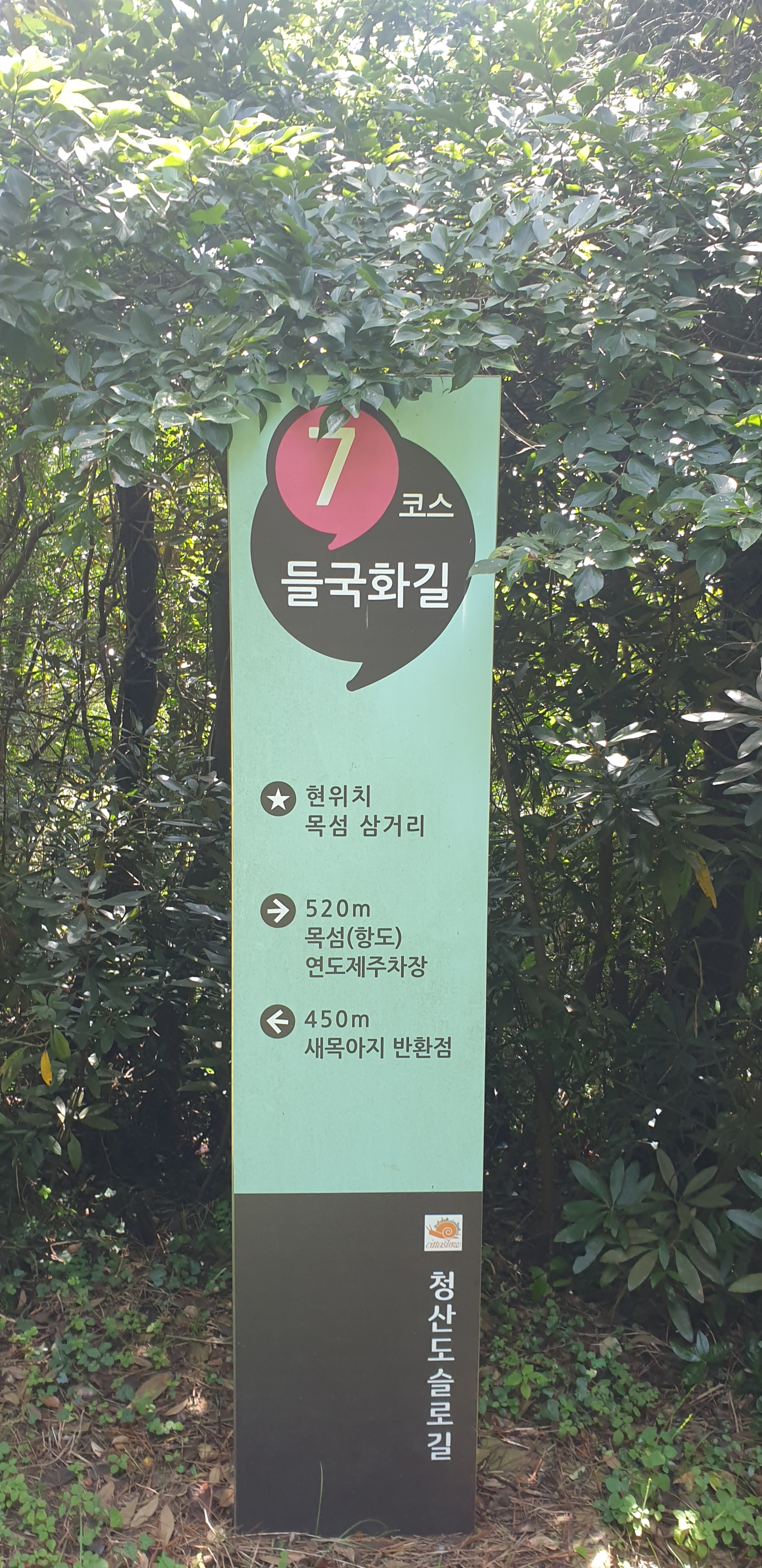  청산도슬로길 7코스 들국화길