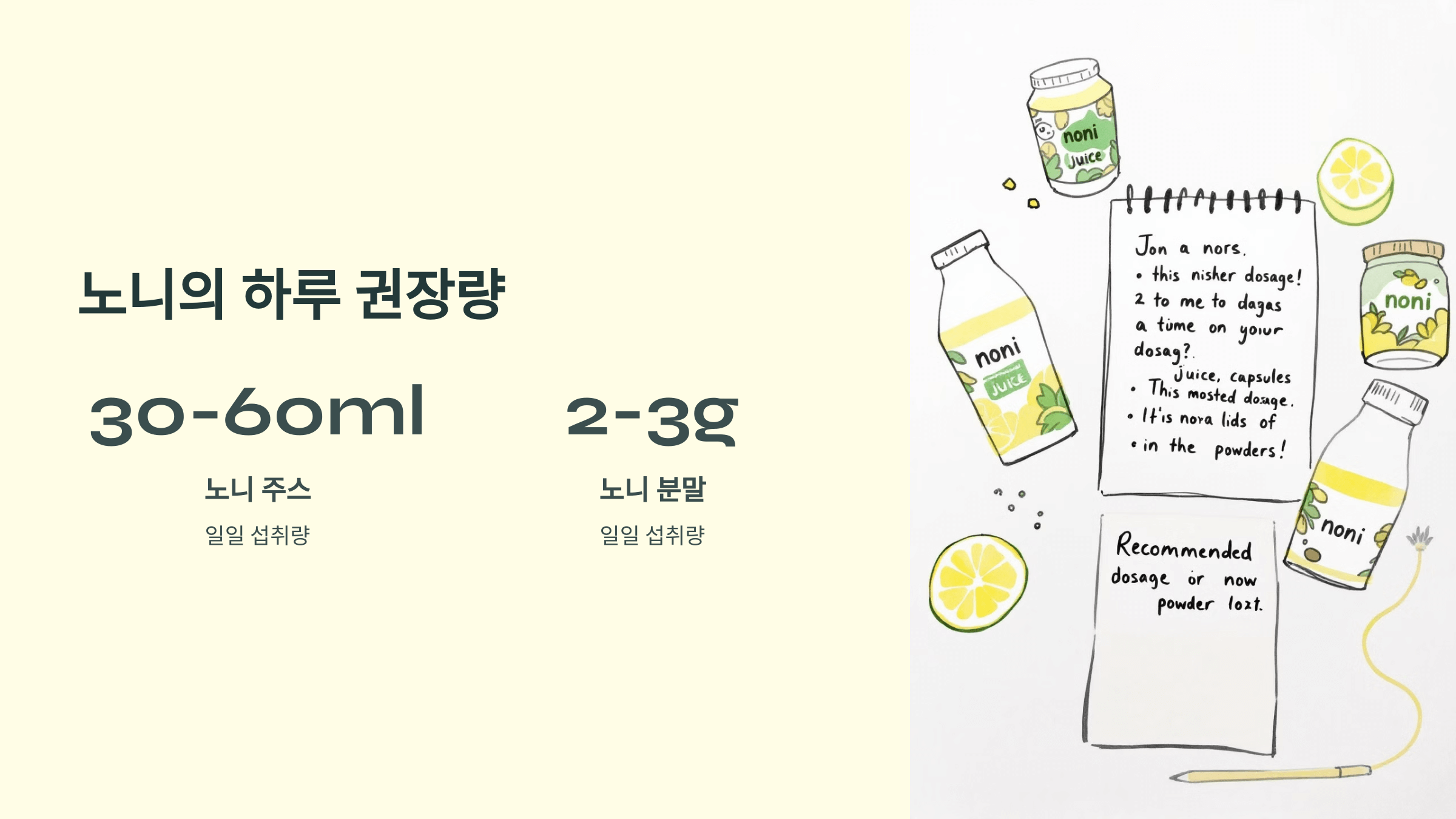 노니 사진입니다.