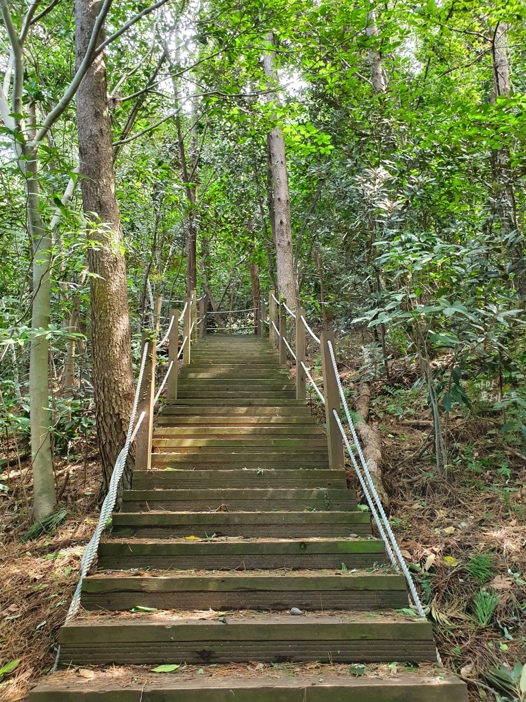 애월 수산봉 정상 올라가는길