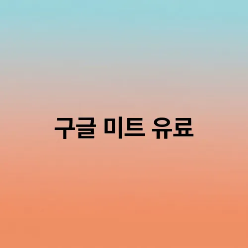 구글 미트 유료