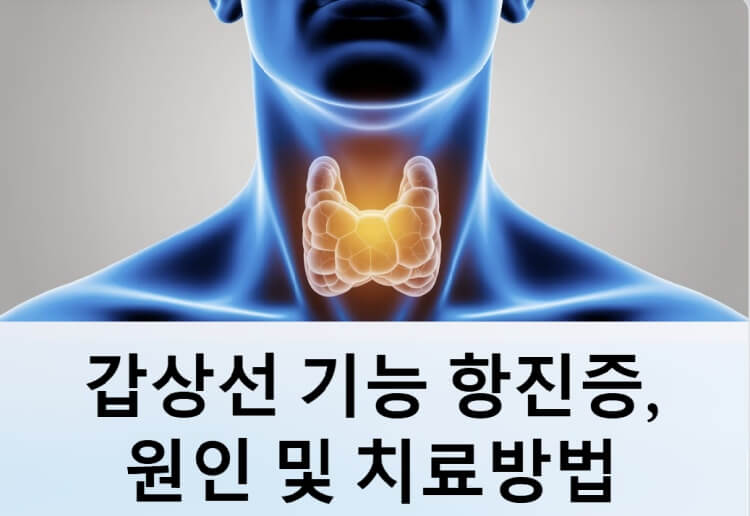 갑상선 이미지