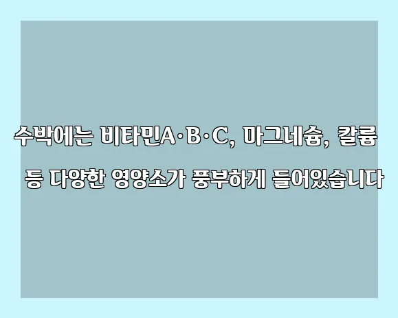 수박에는 비타민A·B·C, 마그네슘, 칼륨 등 다양한 영양소가 풍부하게 들어있습니다