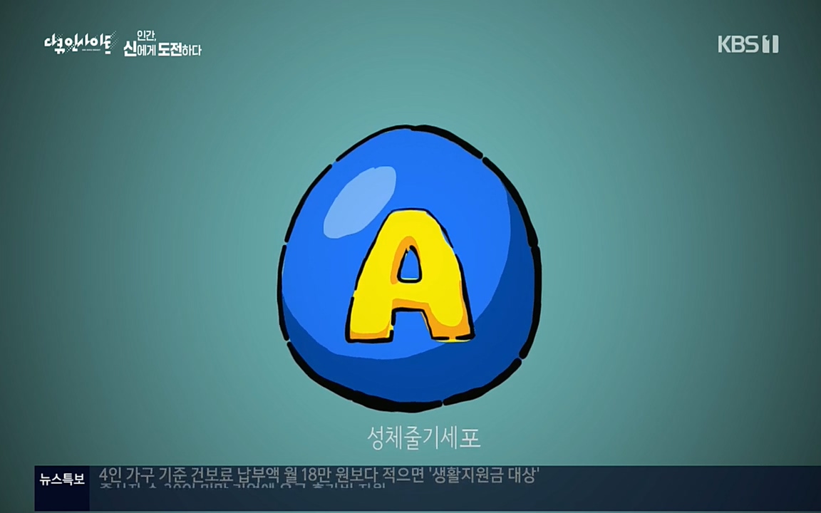 다큐 인사이트.E121.220819p.H264-F1RST.mp4_20220822_174915.821.jpg