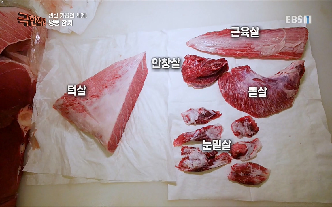 TV - 교육의 중심 EBS생선가공의 세계!-냉동참치, 참치액. 순살생선-.mp4_20220906_200140.597.jpg