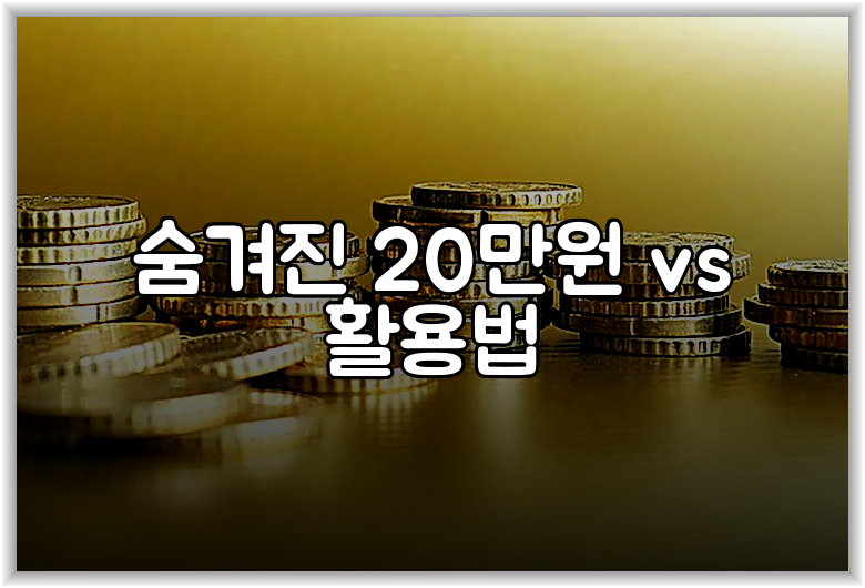 숨겨진 20만원 vs 활용법