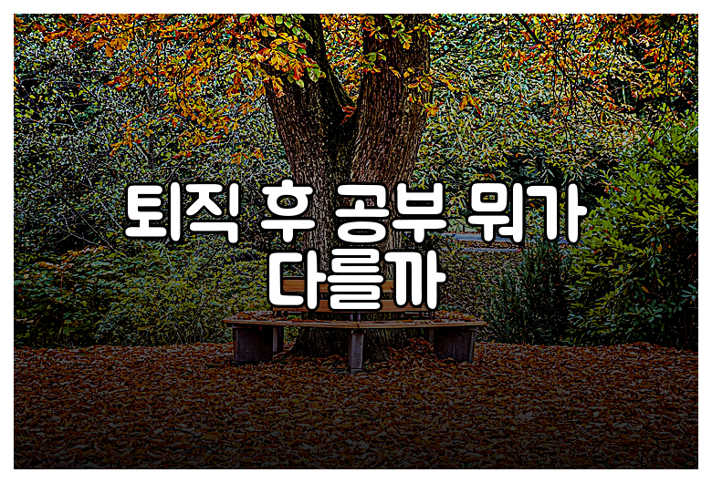 퇴직 후 공부 뭐가 다를까