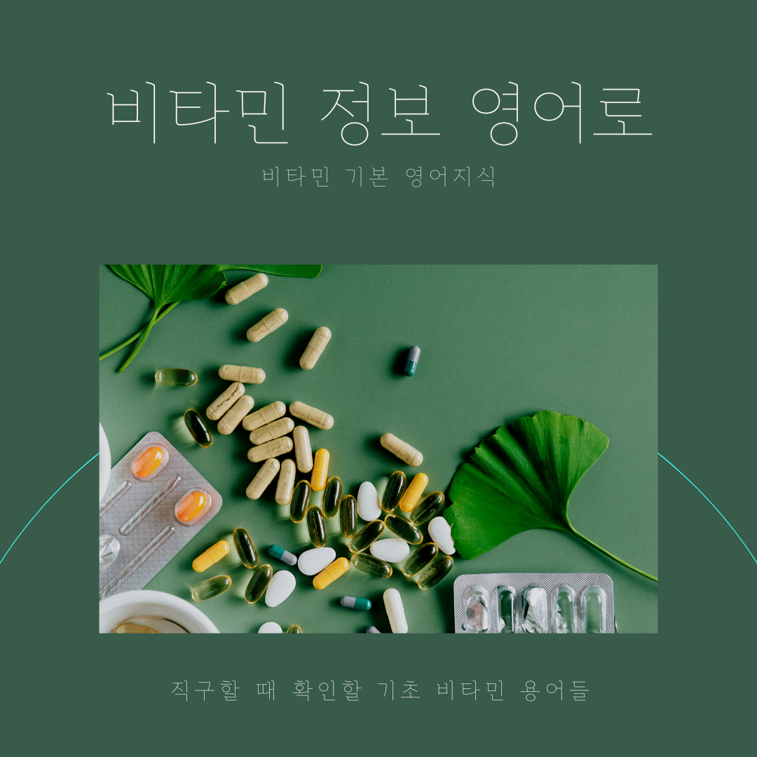  비타민과 관련된 용어 영어로 배우기