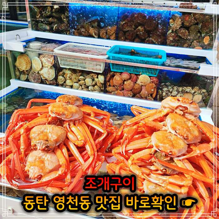 동탄 영천동 맛집 봄 조개 맛대결 조개구이