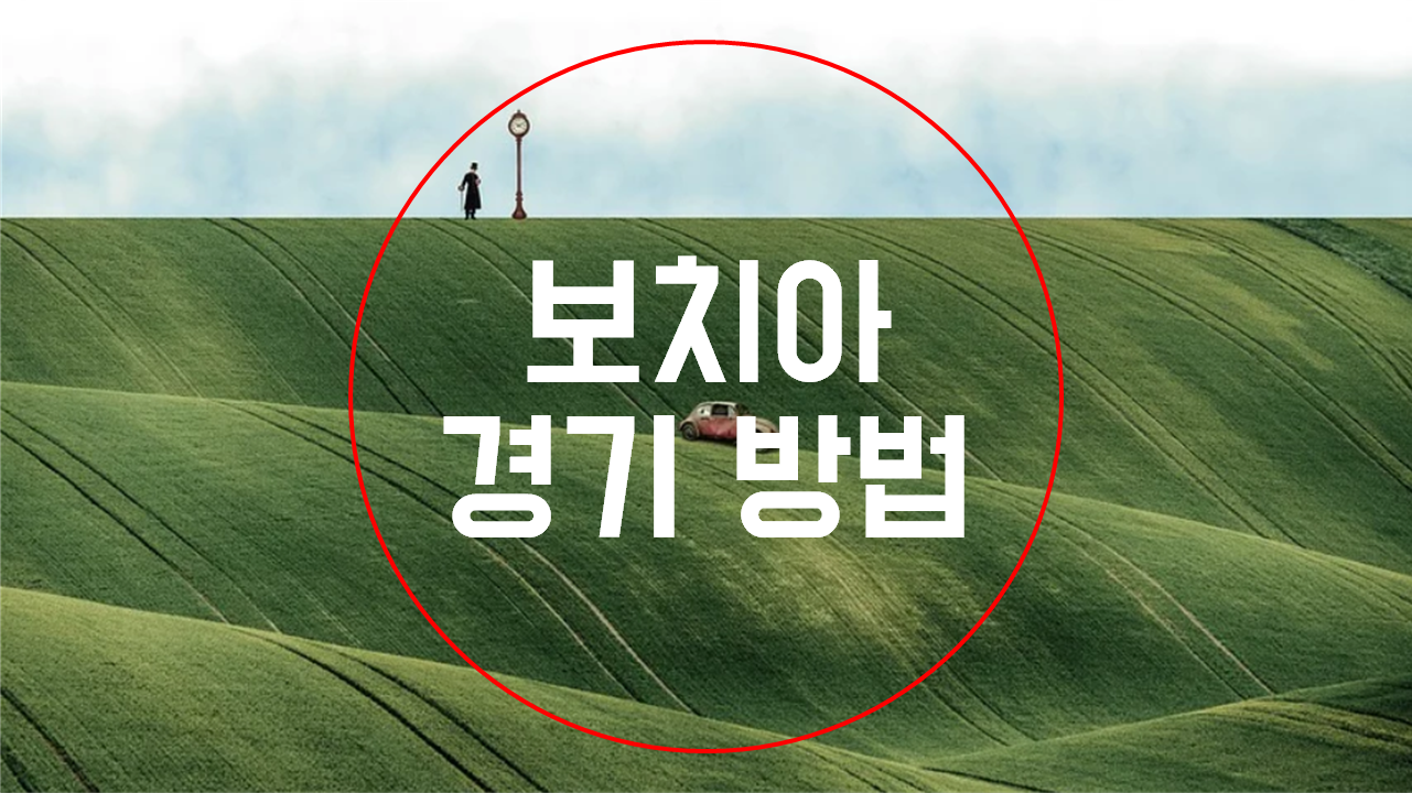  보치아 경기 방법, 패럴림픽 9연패 도전!