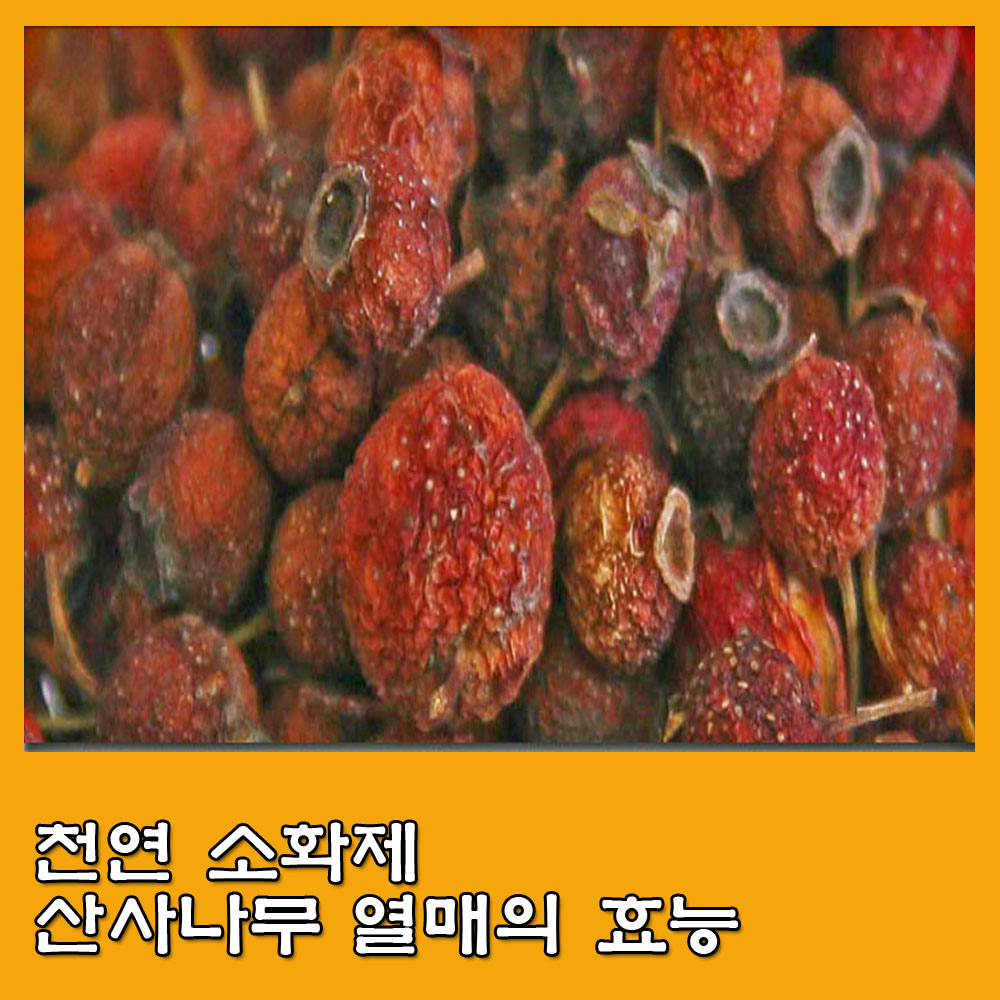  산사자.아가위.산사나무 열매.산사자 효능