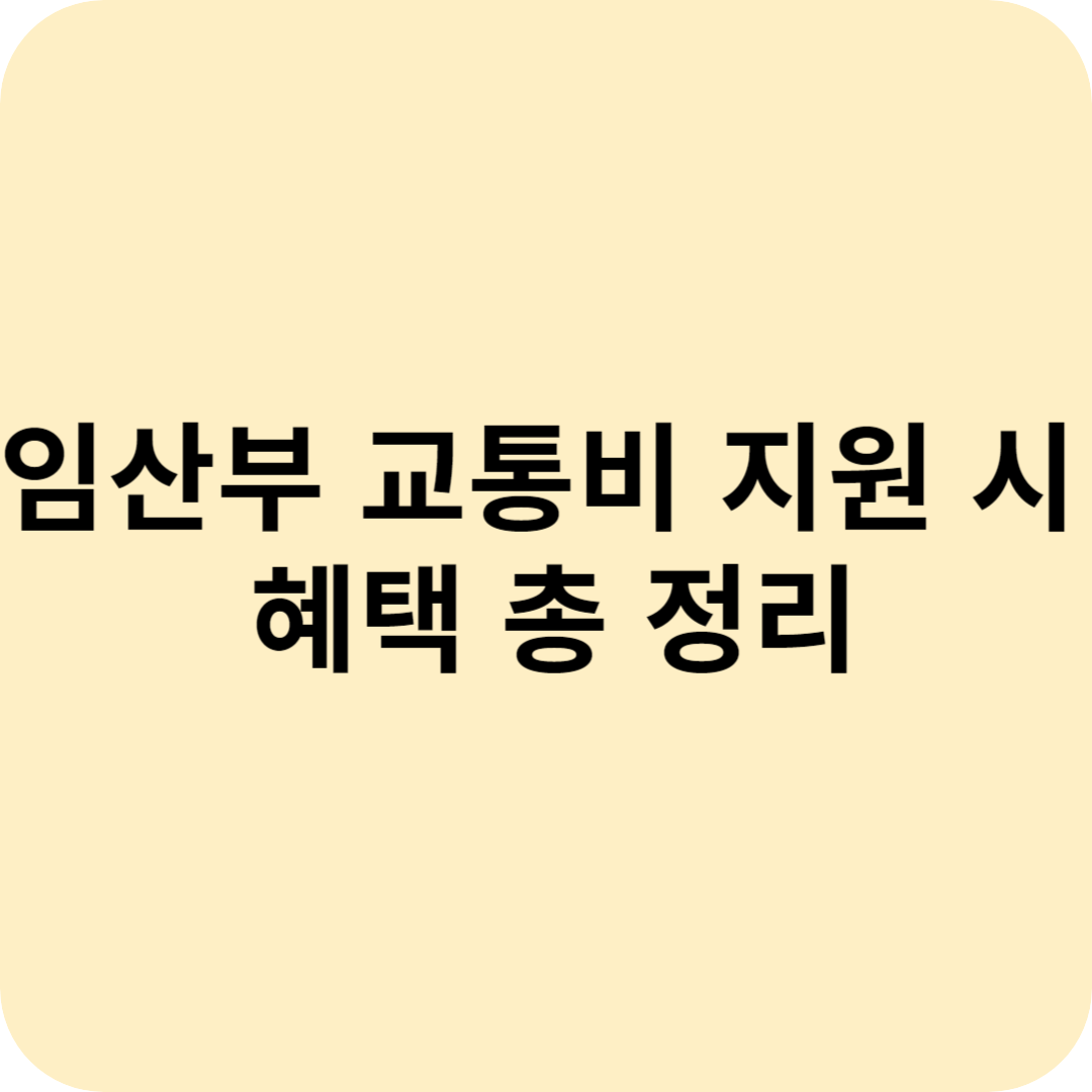 임산부 교통비 지원