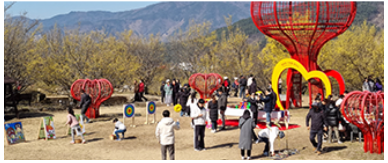구례 산수유축제 기간 (2025년 개화시기) 안내