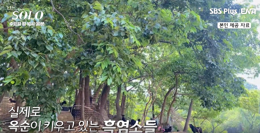 나는 솔로 17기 옥순 직업 학력 인스타