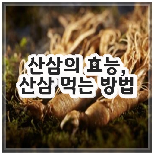 산삼의 효능&#44; 산삼 먹는 방법