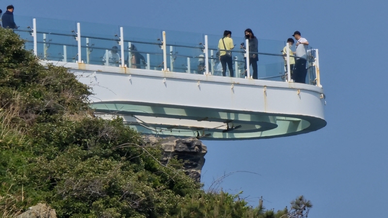  입장료 없는 관광지, 오륙도 스카이워크와 부평깡통시장