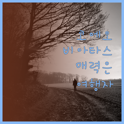 여행자에게 추천하는 코에오 포드 호스