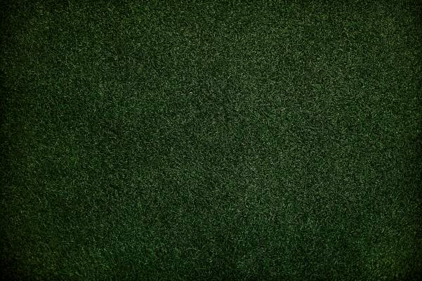 대한민국 이라크 축구 경기 무료보기
