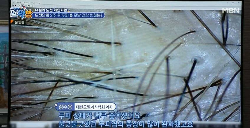 도전자의 결과