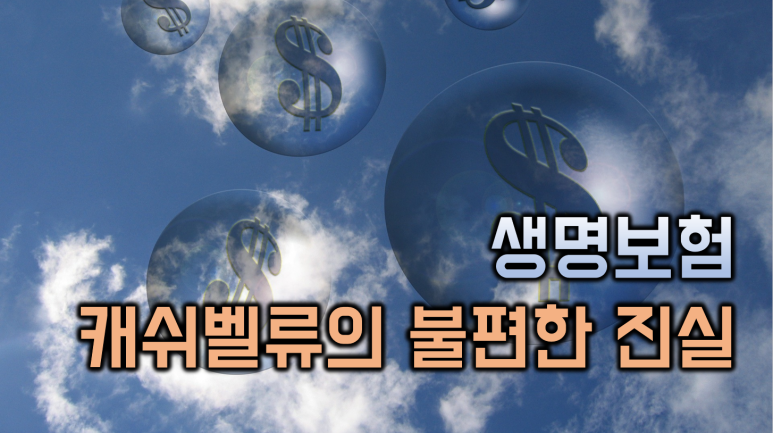 종신보험 해지환급금계산법 생명보험 캐쉬벨류가 정말