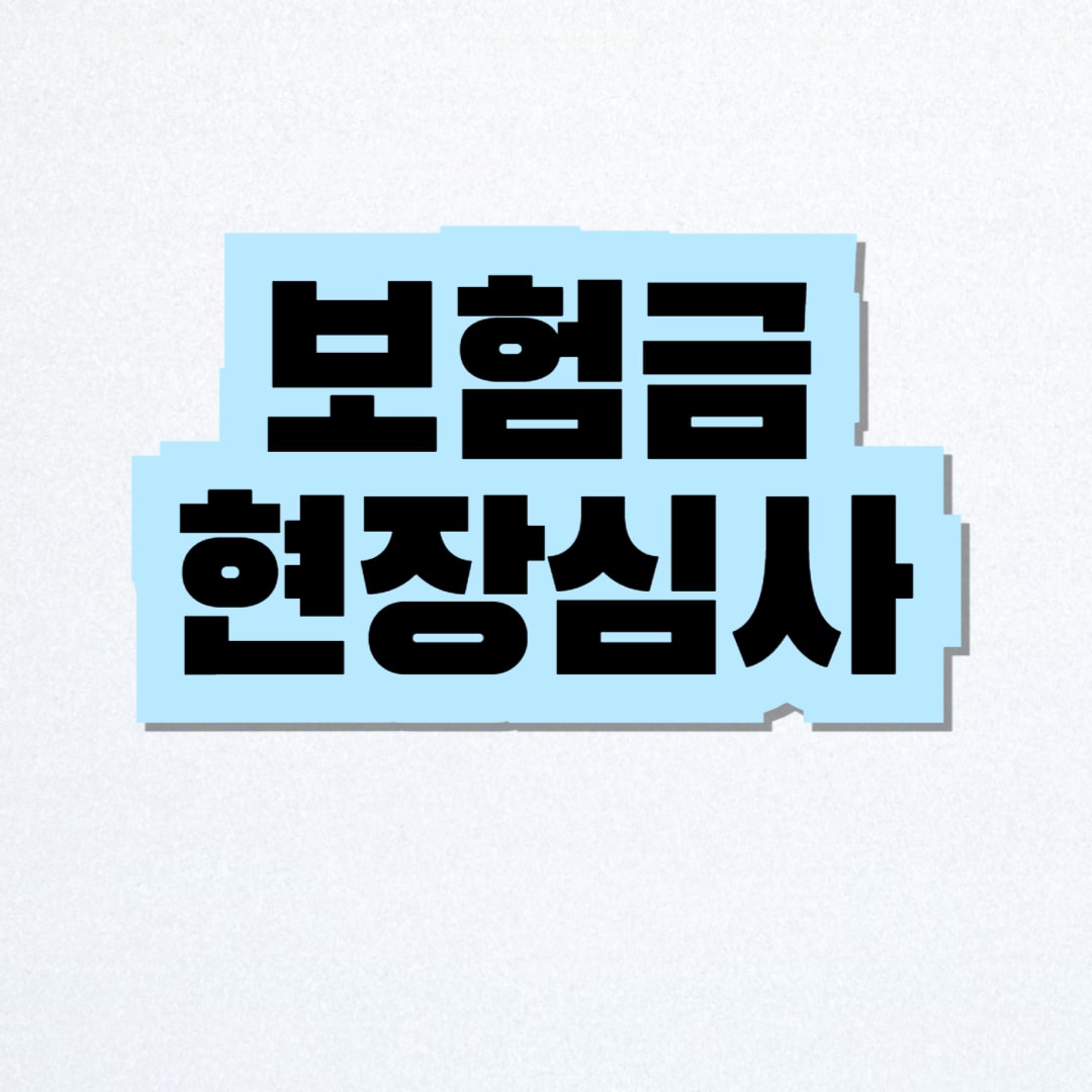 보험금 현장심사