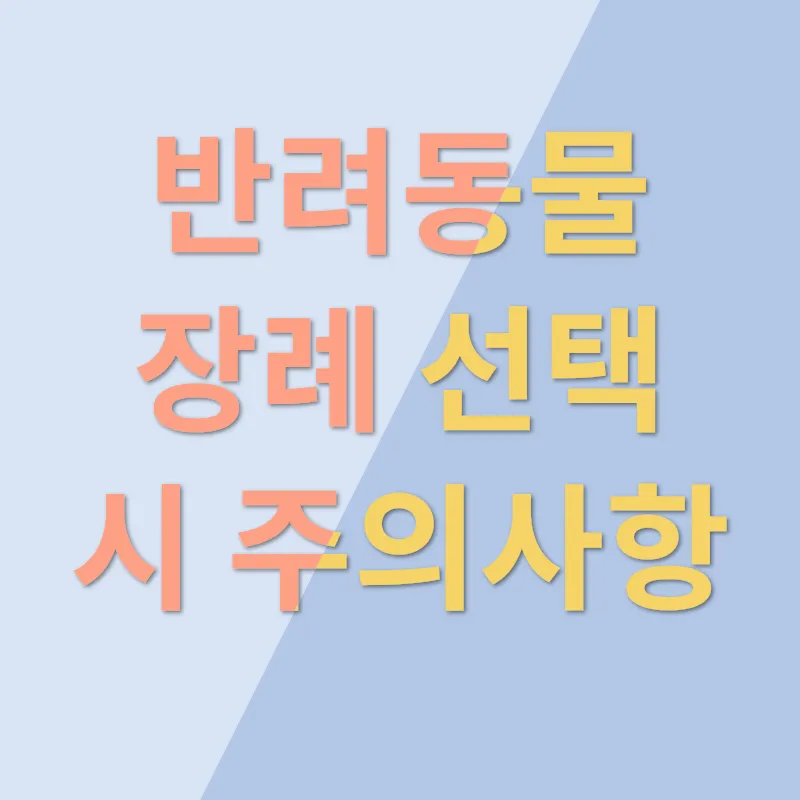 반려동물장례 최신 트렌드_3