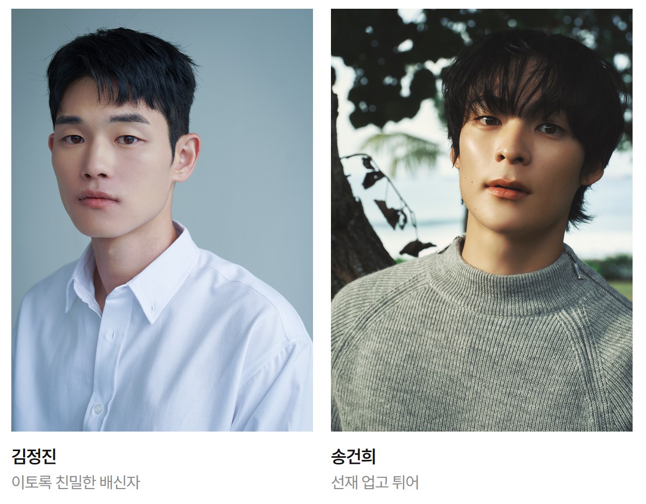 백상예술대상 방송 부문 후보