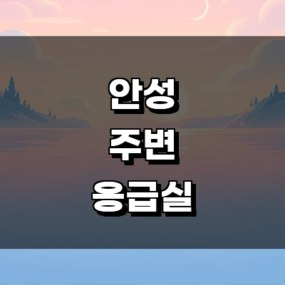 안성시 응급실