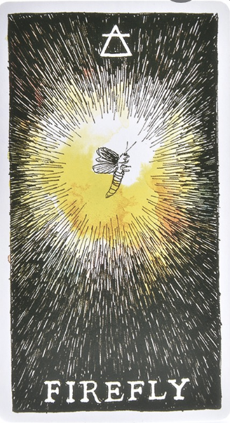  [오라클카드배우기] The wild unknown animal spirit 와일드 언노운 애니멀 스피릿 Firefly 반딧불이